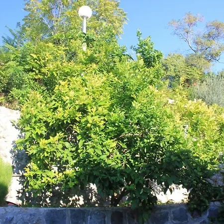 With Wifi Trsteno, Dubrovnik - 8738 *