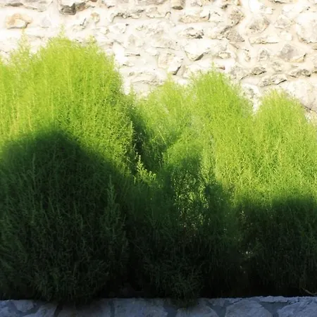 With Wifi Trsteno, Dubrovnik - 8738 アパート トルステノ