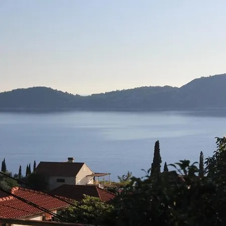 With Wifi Trsteno, Dubrovnik - 8738 アパート トルステノ