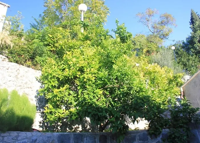 With Wifi Trsteno, Dubrovnik - 8738 *