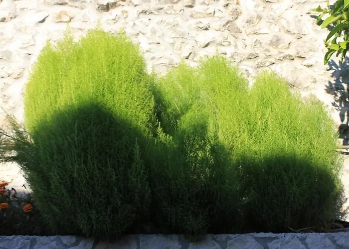 With Wifi Trsteno, Dubrovnik - 8738 아파트 트르스테노